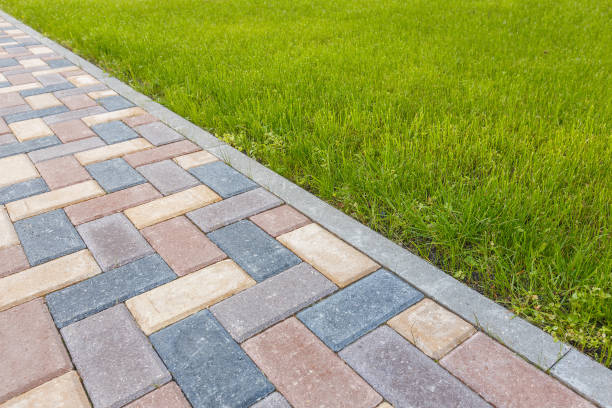 Best Driveway Repair Near Me  in Williston, ND